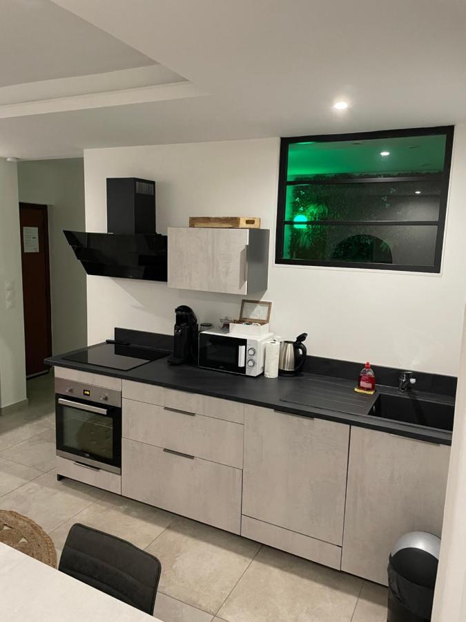 L'Extasia Appartement,Spa Jacuzzi Grenoble Dış mekan fotoğraf